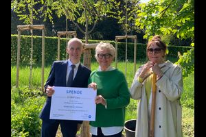 HKH - Bäume für den Bergpark Wilhelmshöhe